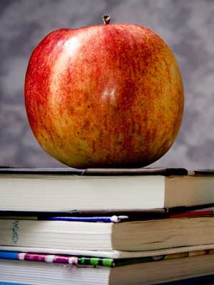 ddos在线攻击平台